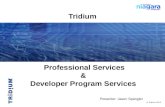 Professional Services & Developer Program Services Presenter: Jason Spangler © Tridium 2013 Tridium.