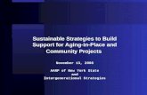Sustainable Strategies to Build Support for Aging-in-Place and Community Projects November 13, 2008 AARP of New York State and Intergenerational Strategies.
