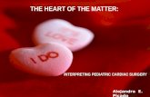 Alejandra E. Picado. 1. 1.How to prepare for a cardiac pre-operative interpreting session. (Knowing your terms, procedures, and common preparations, as.