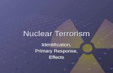 Nuclear Terrorism Identification, Primary Response, Effects.