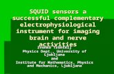 SQUID sensors a successful complementary electrophysiological instrument for imaging brain and nerve activities Zvonko Trontelj Physics Dept., University.