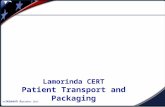 Lamorinda CERT Patient Transport and Packaging Released: 4 September 2013.