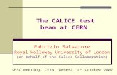 The CALICE test beam at CERN Fabrizio Salvatore Royal Holloway University of London (on behalf of the Calice Collaboration) SPSC meeting, CERN, Geneva,