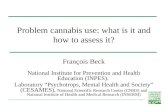 Problem cannabis use: what is it and how to assess it? François Beck National Institute for Prevention and Health Education (INPES). Laboratory Psychotrops,