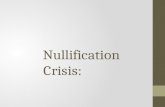 Nullification Crisis:. The Economies of the North and South Economy of the North Fishing, shipbuilding industry and naval supplies, trade and port cities.