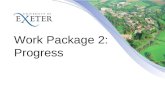 Work Package 2: Progress. Task 2.1 (D3) UNEXE EEG ESV DRES LEI ECN KAPE.