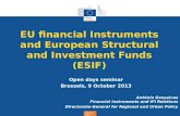 Regional Policy EU financial Instruments and European Structural and Investment Funds (ESIF) Open days seminar Brussels, 9 October 2013 António Gonçalves.
