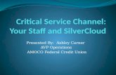 Presented By: Ashley Carner AVP Operations AMOCO Federal Credit Union.