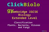 ClickBiology Cambridge IGCSE Biology Extended Level Classification Plants, Bacteria, Viruses and Fungi ClickBiology.