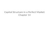 Capital Structure in a Perfect Market Chapter 14.