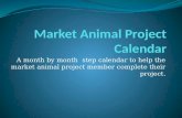 A month by month step calendar to help the market animal project member complete their project.