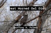 Great Horned Owl Diet Geoffrey H. Palmer. Intro to Great Horned Owls.