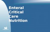 Enteral Critical Care Nutrition MM M ARK M ORRISNSTITUTE I.