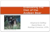 Stephanie DeMay David Roon, UI Rodrigo Cisneros, UTPL Evaluating the Diet of the Andean Bear .