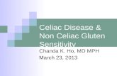 Celiac Disease & Non Celiac Gluten Sensitivity Chanda K. Ho, MD MPH March 23, 2013.
