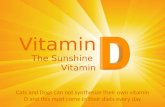 D Vitamin Cats and Dogs can not synthesize their own vitamin D and this must come in their diets every day The Sunshine Vitamin.