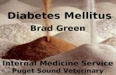 Diabetes Mellitus Brad Green Internal Medicine Service Puget Sound Veterinary Referral Center.