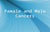 Female and Male Cancers. What is Cancer? Cancer is a cellular disease Abnormal cell growth Cells grow out of control and forms tumors If the tumor is.