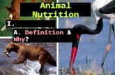 I. Introduction Animal Nutrition A. Definition & Why?