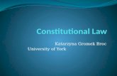 Katarzyna Gromek Broc University of York. Constitutional Law Overview of the Course Syllabus 1. Introduction to the Course, An overview and the Idea of.