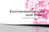 Professor Elaine Hughes. Common law (tort & property) Environmental bills of rights Regulatory legislation Administrative law review Criminal law sentencing.