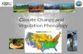 Climate Change and Vegetation Phenology. Climate Change In the Northeastern US mean annual temperature increased 0.7°C over 30 years (0.26° C per decade)