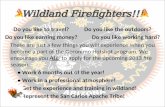 Wildland Firefighters!!! Do you like to travel?Do you like the outdoors? Do you like earning money?Do you like working hard? These are just a few things.