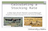 Calculating a Stocking Rate a few tips from Karen Launchbaugh Rangeland Ecology & Management at the University of Idaho K. Launchbaugh.