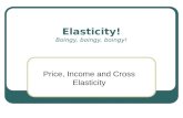 Elasticity! Boingy, boingy, boingy! Price, Income and Cross Elasticity.