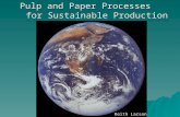 Pulp and Paper Processes for Sustainable Production Keith Larson.