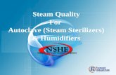 Steam Quality For Autoclave (Steam Sterilizers) & Humidifiers.