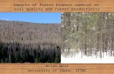 Impacts of forest biomass removal on soil quality and forest productivity Brian Bell University of Idaho, IFTNC.