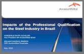May, 2010 Impacts of the Professional Qualification on the Steel Industry in Brazil VANDERLEI RAFFI SCHILLER Vice President HR ArcelorMittal Brasil DELMAR.