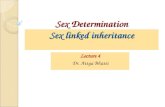 Sex Determination Sex linked inheritance Lecture 4 Dr. Attya Bhatti.