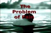 The Problem of Pain. Divine Omnipotence So, whats the problem of pain? With God all things are possible, but… Nothing which implies contradiction falls.