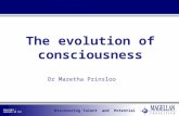 Copyright : Cognadev UK Ltd Dr Maretha Prinsloo The evolution of consciousness.