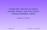 Using SQL Queries to Insert, Update, Delete, and View Data: Joining Multiple Tables © Abdou Illia MIS 4200 - Spring 2014 Monday 2/24/2014.