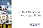HANA Overview and Capabilities Dr. Bjarne Berg. Why In-Memory Processing? 2 Focus Improvement20121990 2 16 Addressable Memory 2614x 52.27 MB/$ 0.02 MB/$