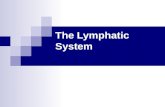 The Lymphatic System. Lymphatic System: Overview Consists of two semi-independent parts: A network of lymphatic vessels Lymphoid tissues and organs scattered.