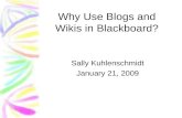 Why Use Blogs and Wikis in Blackboard? Sally Kuhlenschmidt January 21, 2009