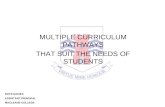 MULTIPLE CURRICULUM PATHWAYS THAT SUIT THE NEEDS OF STUDENTS RHYS DAVIES ASSISTANT PRINCIPAL MACLEANS COLLEGE.