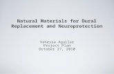 Vanessa Aguilar Project Plan October 27, 2010 Natural Materials for Dural Replacement and Neuroprotection.