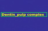 Dentin_pulp complex. Dentin and pulp are embryologically, histologically, and functionally the same tissue and therefore are considered as a complex.