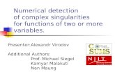 Numerical detection of complex singularities for functions of two or more variables. Presenter:Alexandr Virodov Additional Authors: Prof. Michael Siegel.