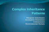 Polygenic Inheritance Incomplete Dominance Codominance Environmental Factors.