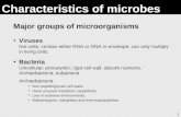 1 Characteristics of microbes Viruses Not cells; contain either RNA or DNA in envelope; can only multiply in living cells. Major groups of microorganisms.