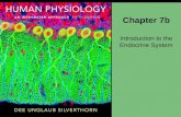 Chapter 7b Introduction to the Endocrine System. Simple Endocrine Reflex: Parathyroid Hormone Figure 7-10 Bone and kidney Low plasma [ Ca 2+ ] Plasma.