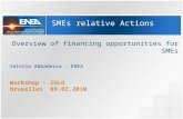 SMEs relative Actions Overview of financing opportunities for SMEs Valerio Abbadessa - ENEA Workshop – IGLO Bruxelles 08.02.2010.
