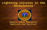 Lightning Injuries in the Backcountry Remote Areas Emergency Medicine and Survival.