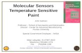 Purdue University - School of Aeronautics and Astronautics Molecular Sensors Temperature Sensitive Paint John Sullivan Professor – School of Aeronautics.